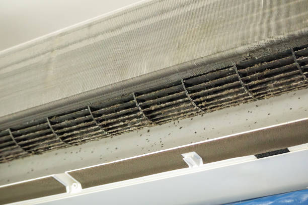 Best HVAC Maintenance and Cleaning  in Riverse, ID